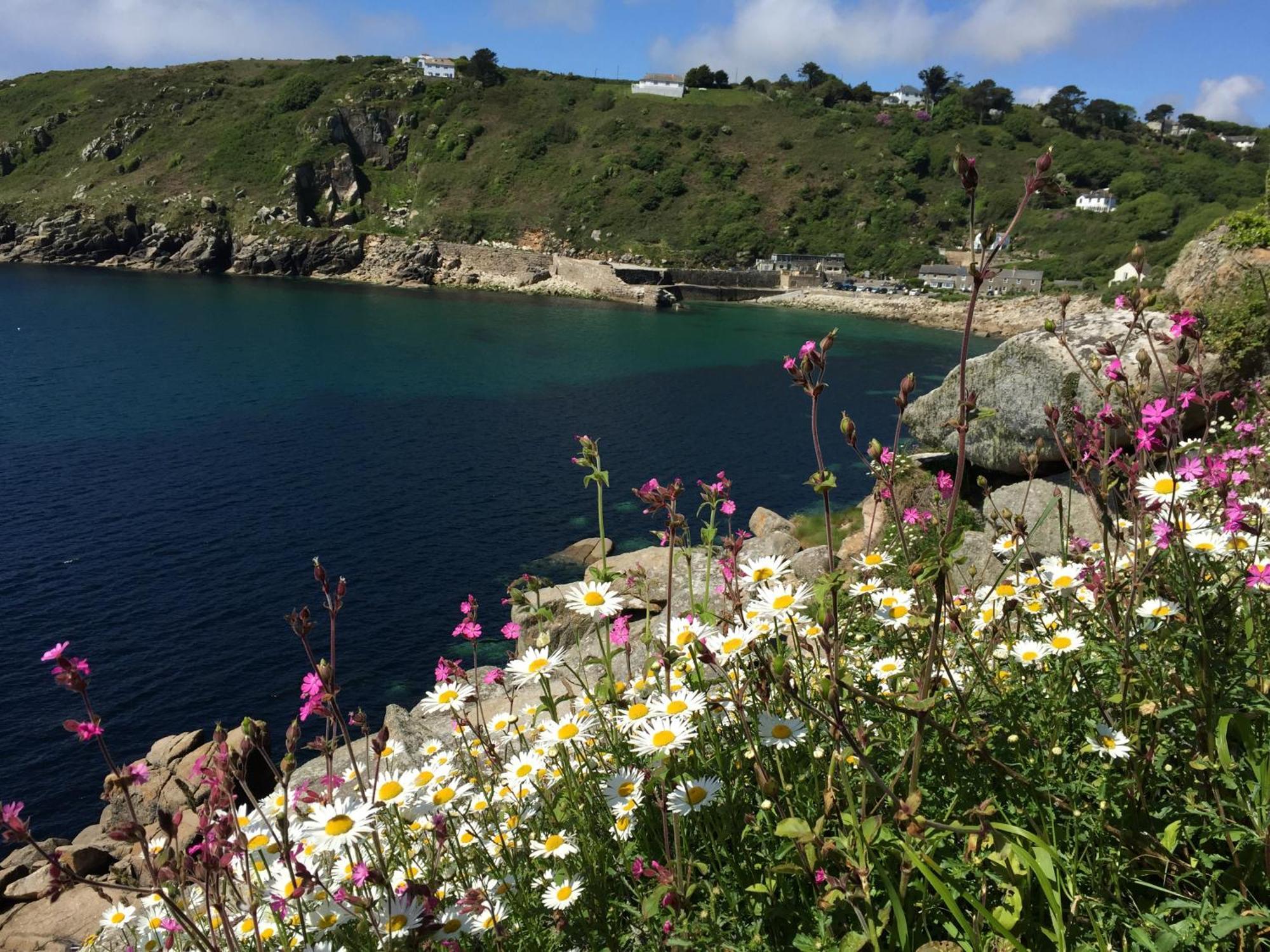 Roselands Caravan Park, Nr Lands End, Cornwall 세인트 저스트 외부 사진